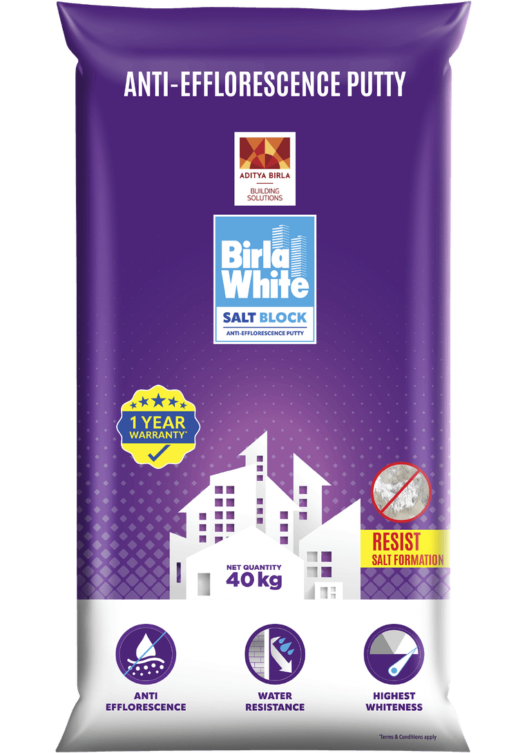 Saltblock Anti-Efflorescence Putty