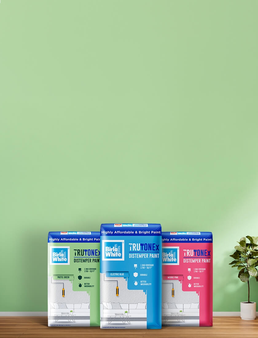 Every Wall, a Splash of Joy!