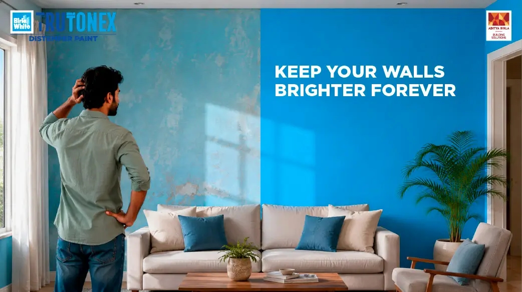 Why Do Painted Walls by Distemper Paint Lose Their Brightness?