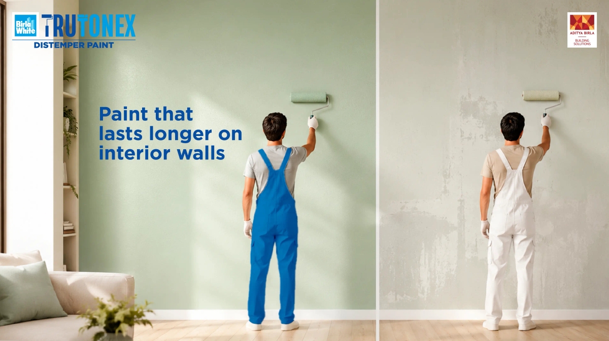 White Distemper Paint vs Emulsion: Which Lasts Longer on Interior Walls?