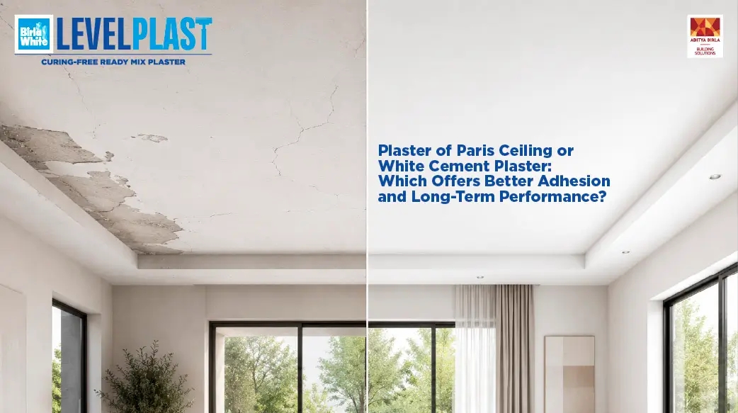 Plaster of Paris Ceiling or White Cement Plaster: Which Offers Better Adhesion?