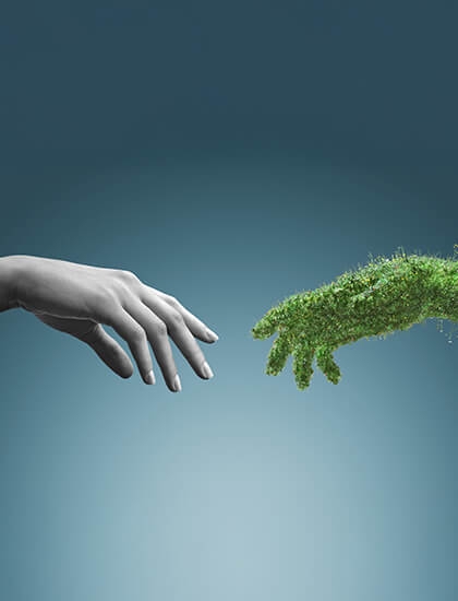 Sustainability Reports