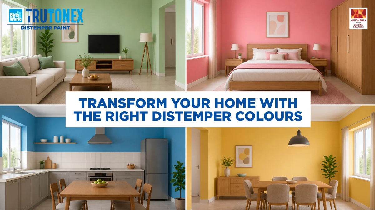 Light vs Dark Distemper Paint Colours: What Works Best for Your Space