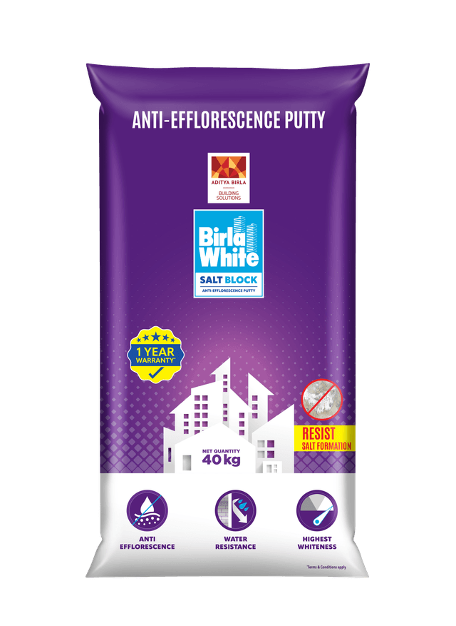 SaltBlock Putty 40 Kg (TKN)