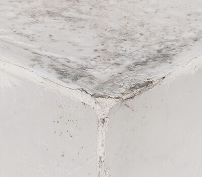 Bathroom walls always damp?