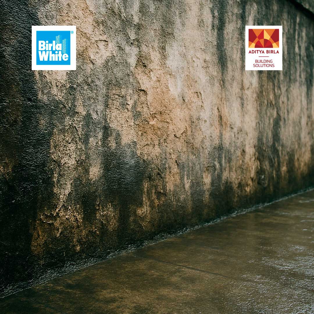 Moisture‑damaged wall before repair with waterproof putty solution