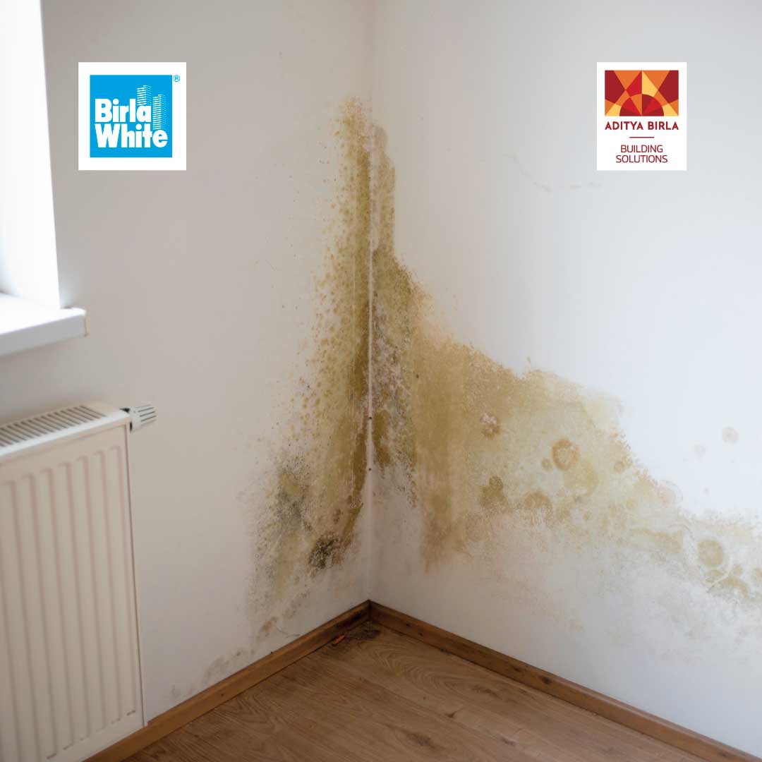 Interior wall with powdery white efflorescence damage before waterproofing treatment